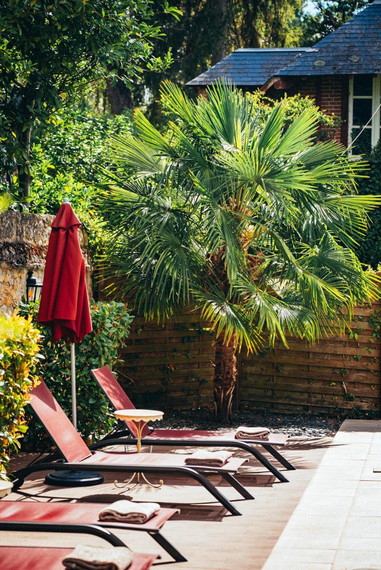 Le Manoir Saint Thomas Hotel Amboise Exterior foto